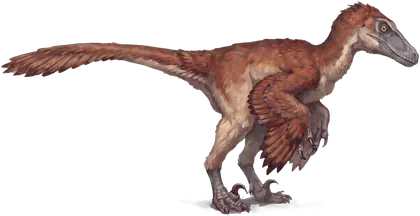 Bramble, a Deinonychus the size of a large dog, feathered, standing alert.